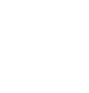 Skin Anarchy Logo